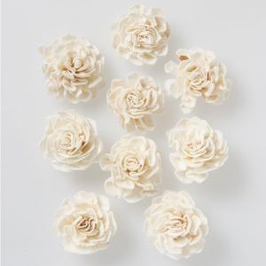 ドライフラワー 花種類 ダリア 花 ガーデニング 通販 Yahoo ショッピング