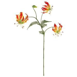 季節の飾り屋さん グロリオサ 花の名前から探す Yahoo ショッピング