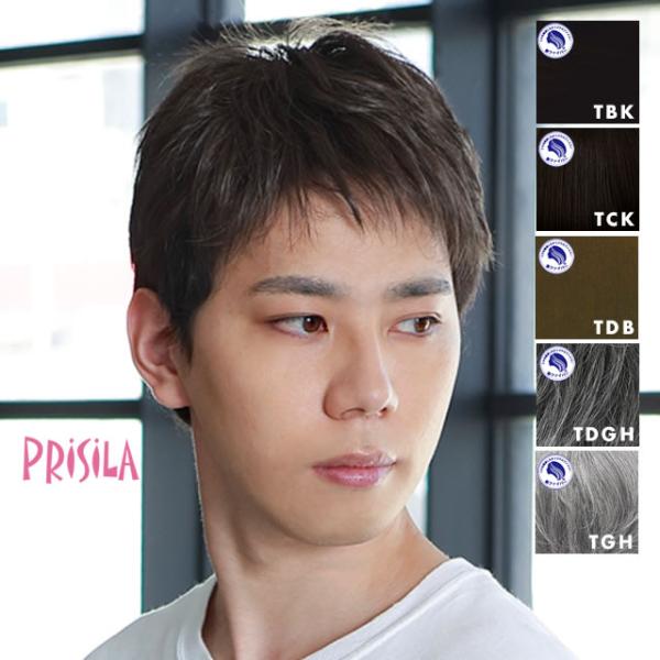 男性用五分ウィッグ　メンズウィッグ　レイヤーショート　GB-22 耐熱 プリシラ