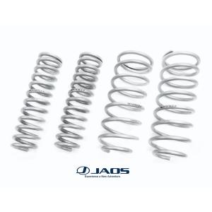 JAOS（ジャオス） ランドクルーザー 300系 FJA300W (グレード ZX