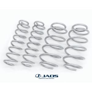 4×4エンジニアリング カンサスLIGHT RAV4 リフトアップコイル (50系