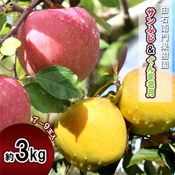 【先行予約受付中】「サンふじ・ぐんま名月」約3kg（7〜9玉）●2025年11月下旬発送開始 秋田県...