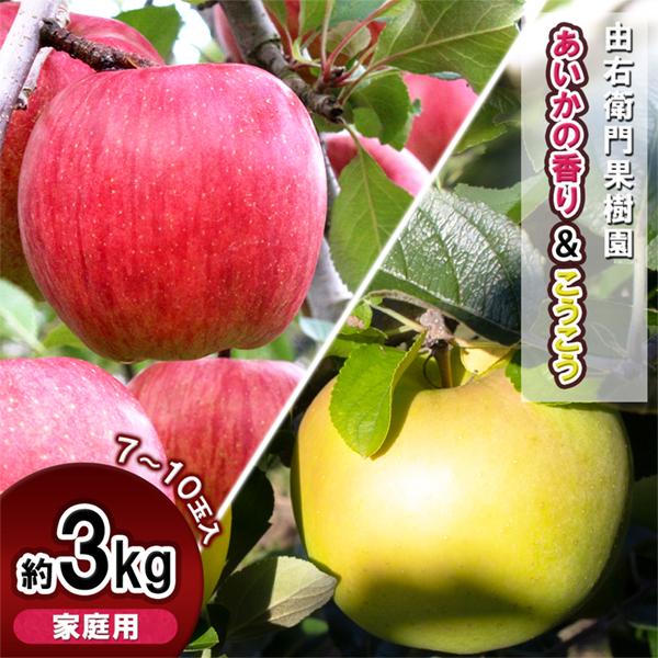 【数量限定で受付中！】家庭用「あいかの香り・こうこう」約3kg（7〜10玉）●2025年11月下旬発...