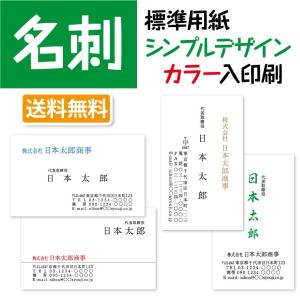 名刺作成 シンプルデザイン 部分的にカラー印刷 100枚 標準配送料込み