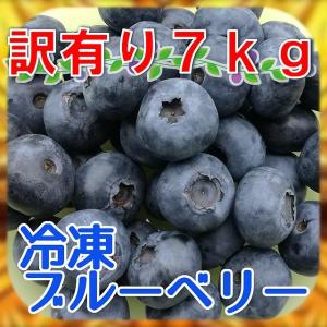 訳あり冷凍ブルーベリー約７ｋｇ※化粧箱なし※