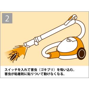 バリアホーム ゴキすぅ〜ぽん 10個セット 害...の詳細画像5
