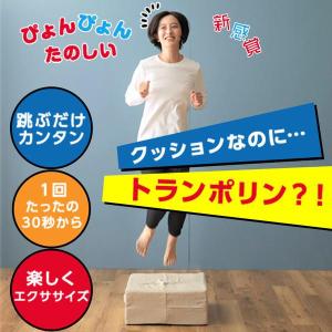 ナイスデイ　G-day　ホームジャンプ　グッディ　グレー　トランポリン 跳ぶ ジャンプ 組み立て不要 おうち時間 エクササイズ 運動