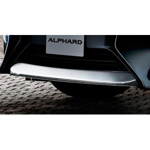 トヨタ（TOYOTA） トヨタ純正 メッキバックドアガーニッシュ