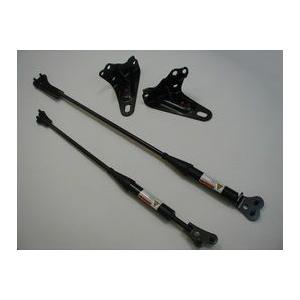 レクサス純正　パフォーマンスダンパー [Fスポーツ]　レクサスＲＸ 10系後期