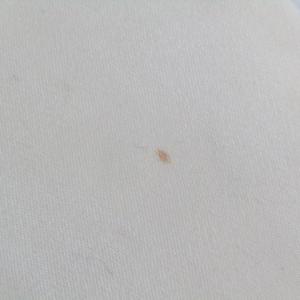 アンタイトル ショートコート ステンカラーコー...の詳細画像4