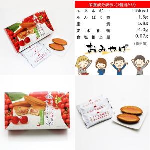 山形 さくらんぼとチーズのタルト 9個入り 佐...の詳細画像4