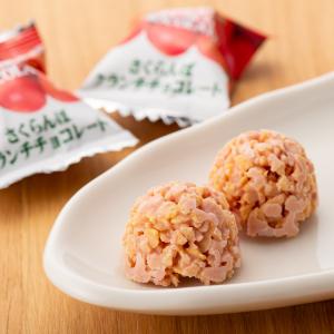 山形限定 さくらんぼ クランチ チョコレート 15個入り ( 東北 山形 お土産 お菓子 お取り寄せ チェリー 桜桃 フルーツ 個包装 )｜kbs1093