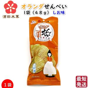 オランダせんべい しお味 1袋(48g) 酒田米菓 国産米100％使用 山形 東北限定 ご当地煎餅 お菓子 和菓子 塩味 お土産 【A01】