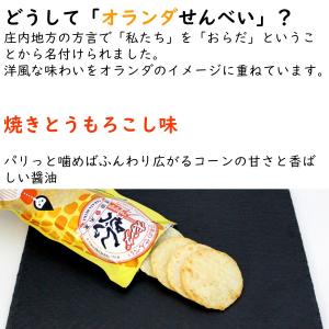 オランダせんべい 焼きとうもろこし味 1袋(4...の詳細画像2
