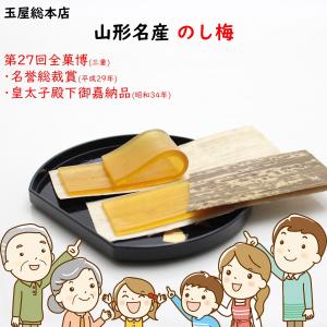 のし梅 1袋(5枚)×3セット 玉屋総本店 送...の詳細画像1