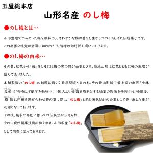 のし梅 1袋(5枚)×3セット 玉屋総本店 送...の詳細画像2