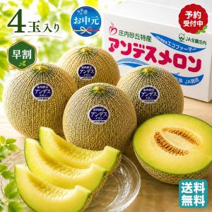 お中元 2026 メロン フルーツ 山形県産 JA鶴岡 青肉、赤肉メロンセット