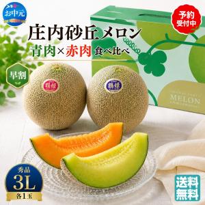お中元 2026 メロン フルーツ 山形県産 JA鶴岡 青肉、赤肉メロンセット
