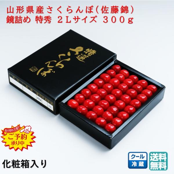 夏ギフト お中元 6月中旬頃発送予定 さくらんぼ 佐藤錦 特秀 2L 鏡詰め 化粧箱 1箱(300g...