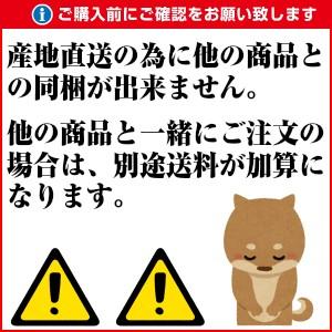 冷凍 殿様のだだちゃ豆 1kg(200g×5袋...の詳細画像1