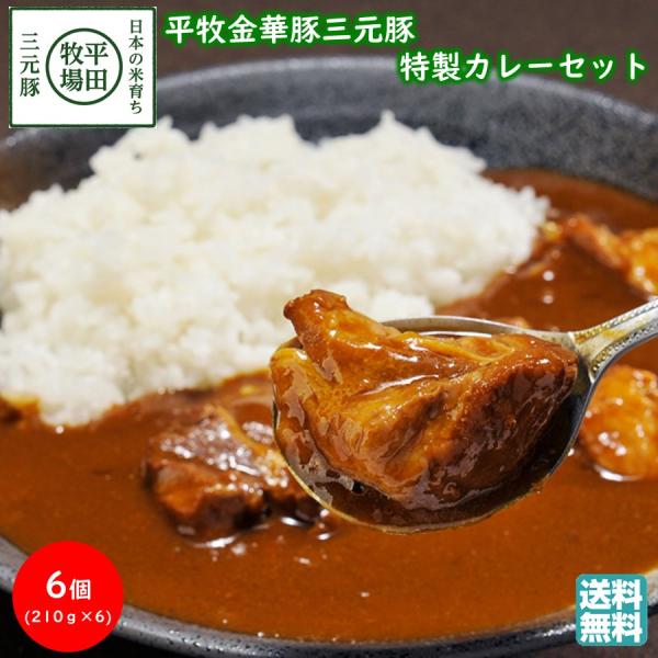 平牧 金華豚 三元豚 特製 カレー ギフトセット 常温 (VCR18-2) 平田牧場 ( 送料無料 ...