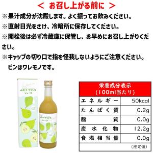 山形県産 ラ・フランスジュース 500ml フ...の詳細画像2