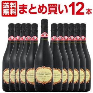 ランブルスコ Lambrusco まとめ買い フォルミージネ・ペデモンターナ・ランブルスコ Lambrusco ・グラスパロッサ・ディ・カステルヴェトロ・セッコ ワイン win