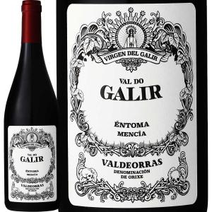バル・ド・ガリル・メンシア 2022 スペイン Spain 赤ワイン wine 750ml フルボディ ガリシア バルデオラス メンシーア グリーン・スペイン Spain 冷涼 クネ CVN