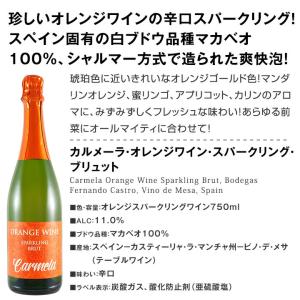 世界中で大流行中 第4のワイン wine とし...の詳細画像1