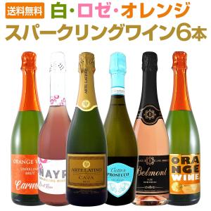【訳あり13本セット】スパークリングワイン詰め合わせ（フランス・イタリア他） すべて辛口 スパークリングワイン 6本セット イタリア スペイン