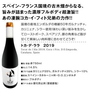 スペイン Spain 全土の地ワイン wine...の詳細画像1