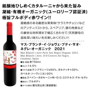 スペイン Spain 全土の地ワイン wine...の詳細画像2