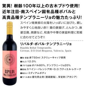 スペイン Spain 全土の地ワイン wine...の詳細画像5