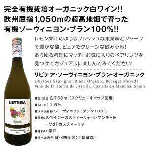 目からウロコ スペイン Spain 白ワイン ...の詳細画像4