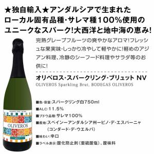 スペイン Spain 担当厳選 スペイン Sp...の詳細画像1