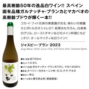 スペイン Spain 担当厳選 スペイン Sp...の詳細画像3