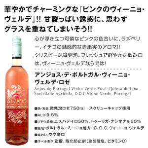 大人気 緑ワイン wine ヴィーニョ・ヴェル...の詳細画像3