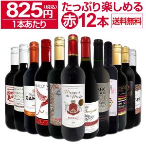 赤ワイン セット フランス スペイン イタリア 12本 750ml wine set 第65弾