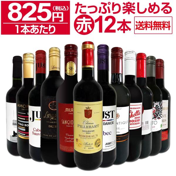 第62弾 1本あたり825円 税込 採算度外視の大感謝 厳選赤ワイン wine 12本セット set