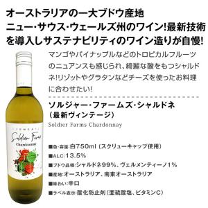 白ワイン セット スペイン フランス イタリア...の詳細画像2