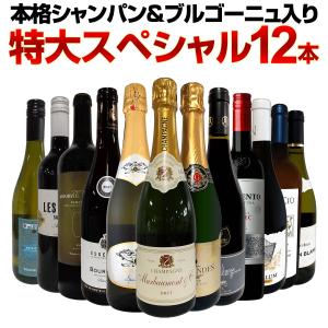 第45弾 本格シャンパン＆ブルゴーニュ bourgogne 入り 特大スペシャル12本セット set