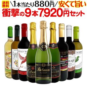 ワイン セット 赤 白 スパークリング 9本 750ml フランス イタリア まとめ買い 赤白 wine set sparkling 第57弾
