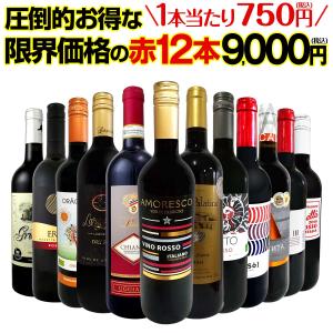 赤ワイン セット フランス イタリア スペイン 12本 wine set 750ml 第40弾 1本あたり750円 税込 特選スーパーバリュー 当店厳選の旨安だけ集めました