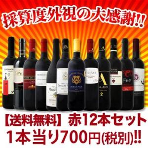 【送料無料】厳選赤ワイン12本セット！