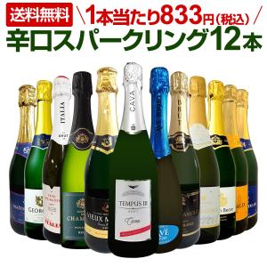 スパークリング sparkling ワイン wine セット set 第93弾 選び抜いたハイクオリティ泡ばかり12本 辛口スパークリング sparkling ワイン wine セット set ワイ