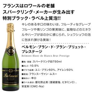 スパークリングワイン セット フランス スペイ...の詳細画像5
