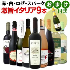 イタリアワイン9本セット wine set 赤 白 ロゼ スパークリング