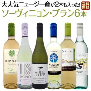 白ワイン セット 6本 wine set チリ オーストラリア