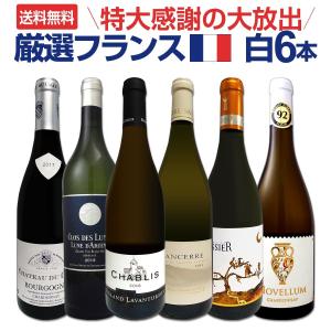 白ワイン セット フランス 6本 wine set 750ml 特大感謝の厳選