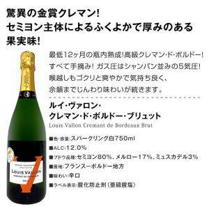 スパークリング ワイン セット 5本 ぜんぶ ...の詳細画像4